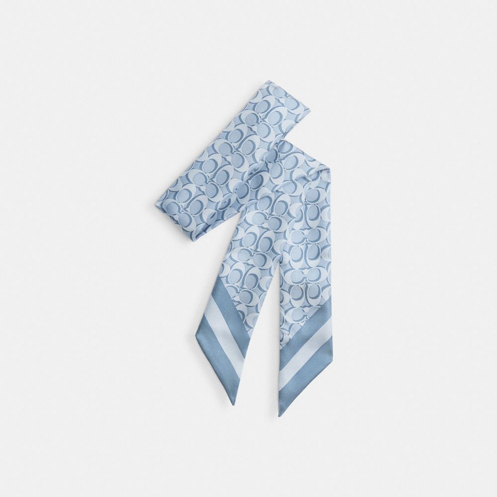 Coach Signature Silk Skinny Scarf Niagara Mist
