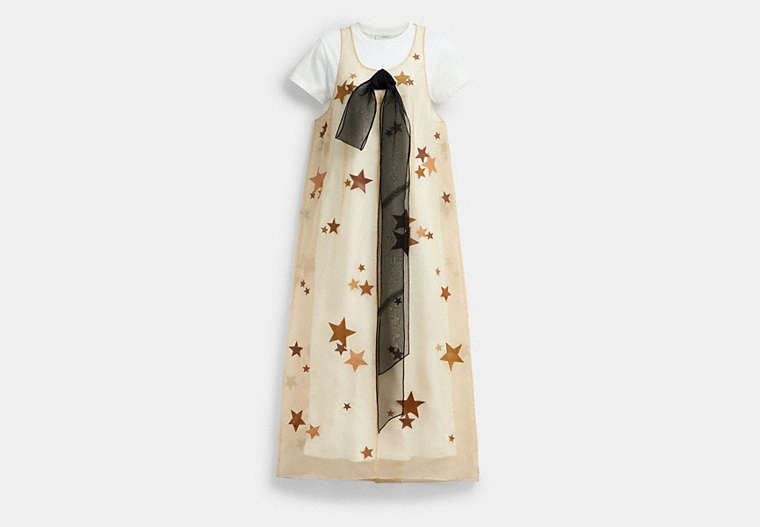 Star Organza Dress
