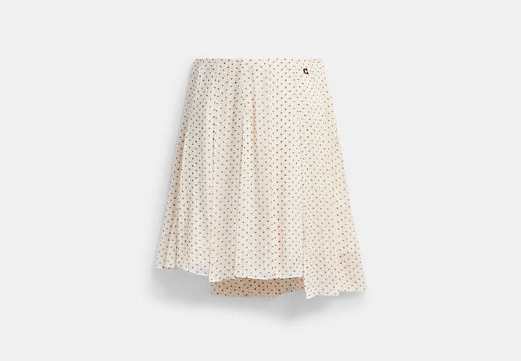 Printed Asymmetrical Pleated Skirt