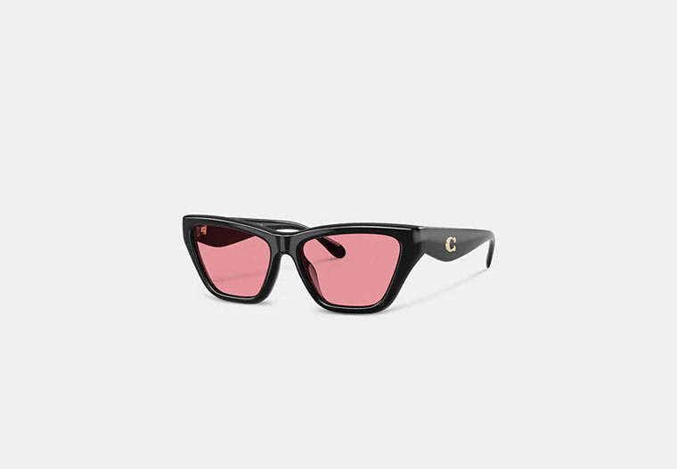 C Hardware Cat Eye Sunglasses