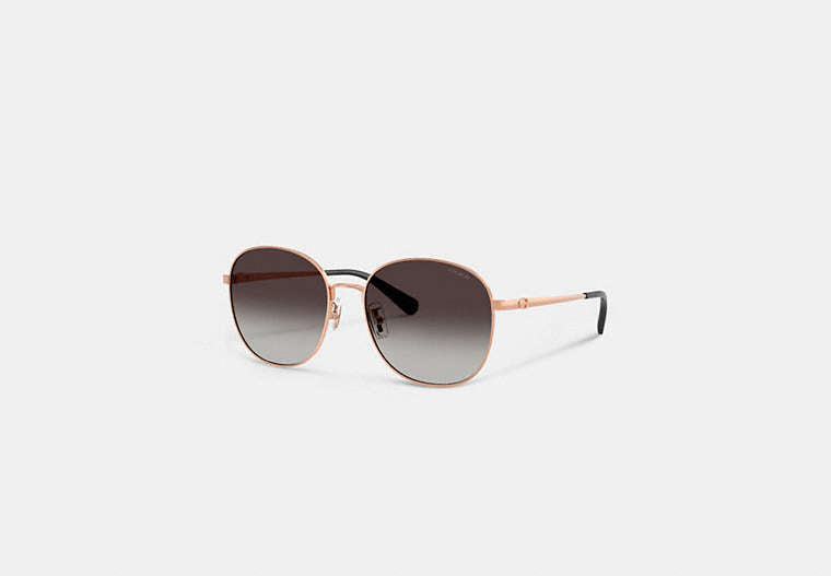 C Hardware Metal Round Sunglasses