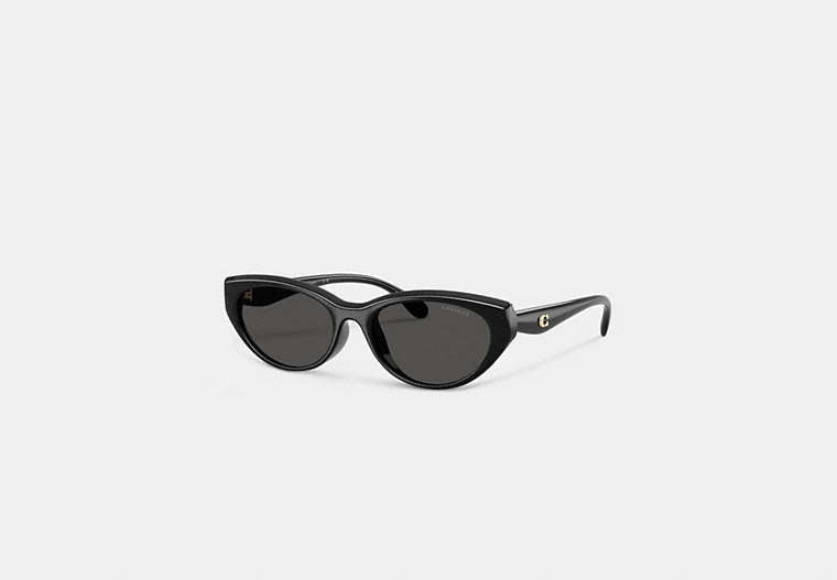 C Hardware Oval Cat Eye Sunglasses