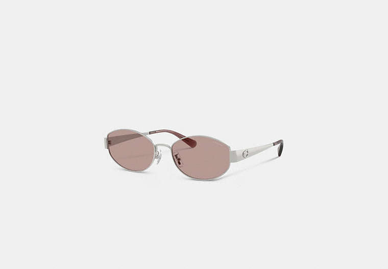 C Hardware Metal Narrow Oval Sunglasses