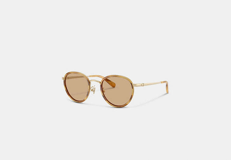 Chunky Narrow Rectangle Sunglasses