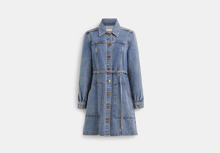 Restored Denim Dress