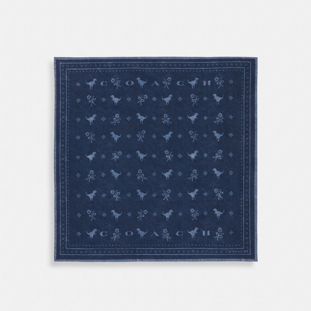 Coach Dino Print Bandana Denim
