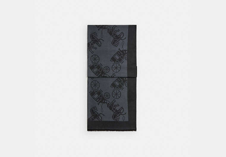 Horse And Carriage Print Stole