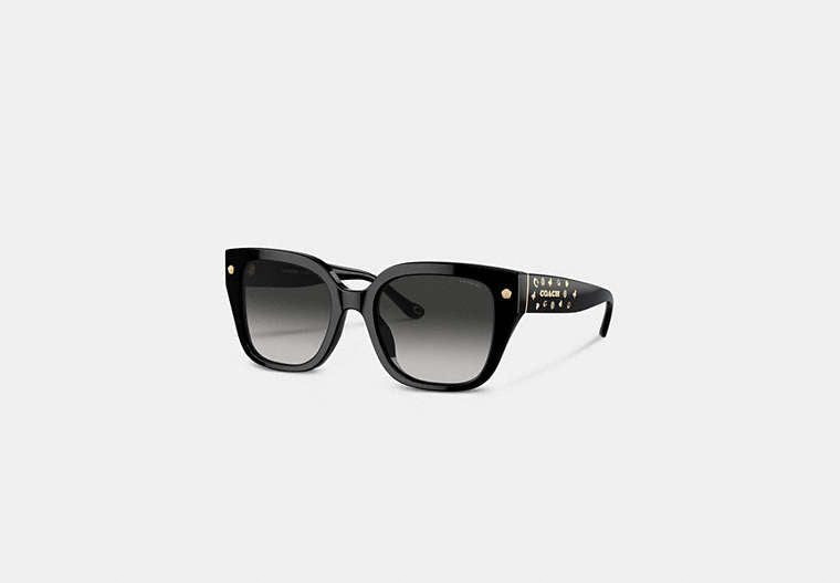 Charms Oversized Square Sunglasses