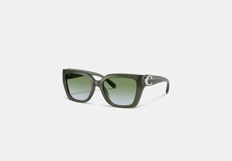 Maxi Sculpted C Square Cat Eye Sunglasses