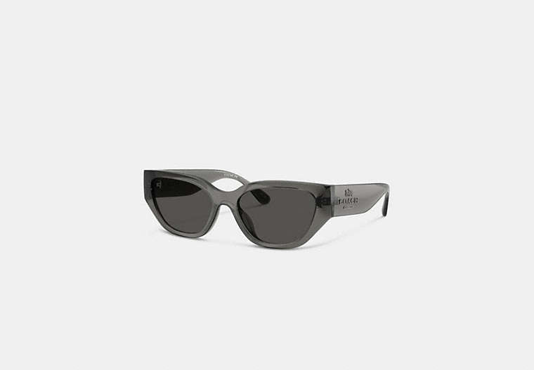 Geometric Cat Eye Sunglasses