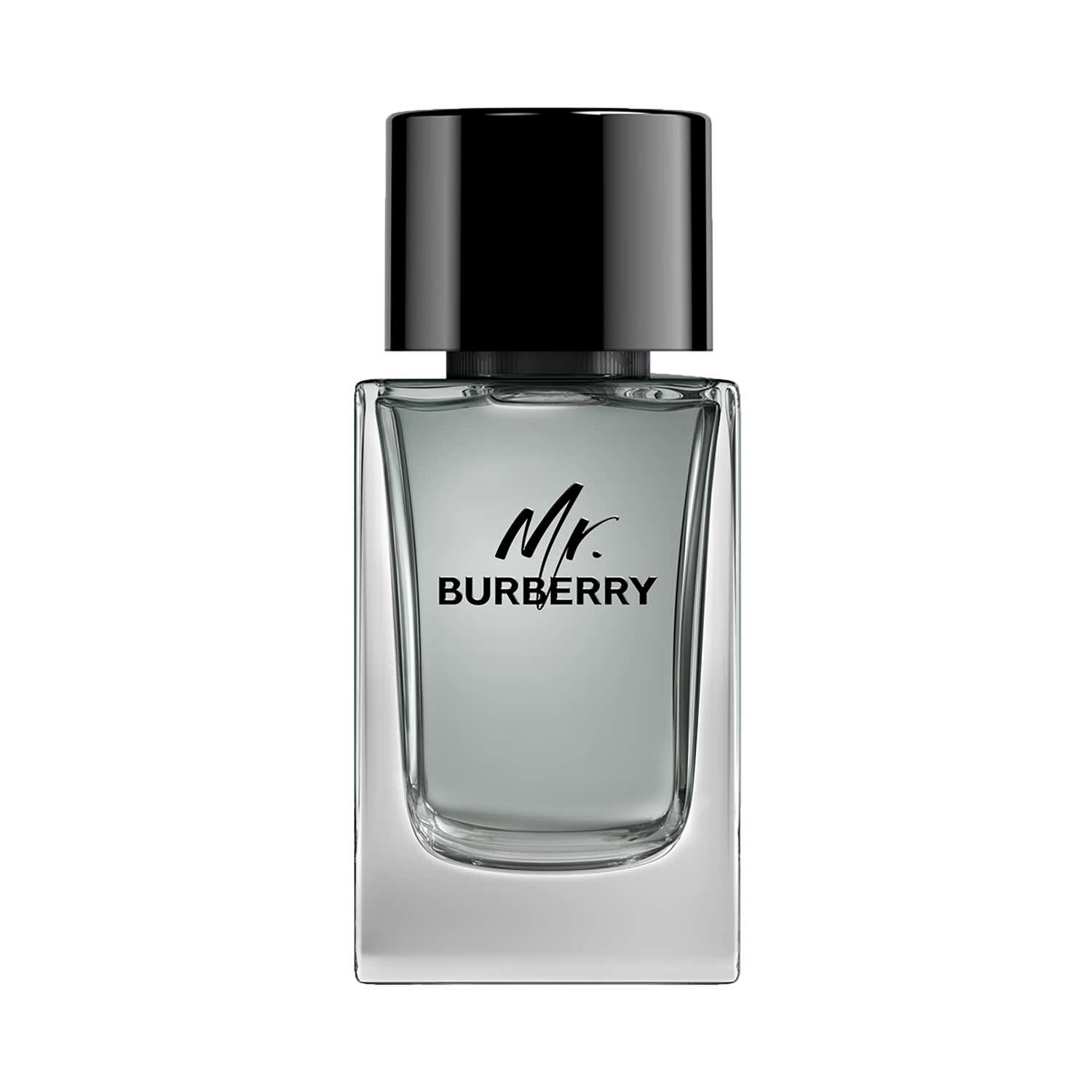 Burberry Mr. Burberry Eau De Toilette (100ml) - Burberry