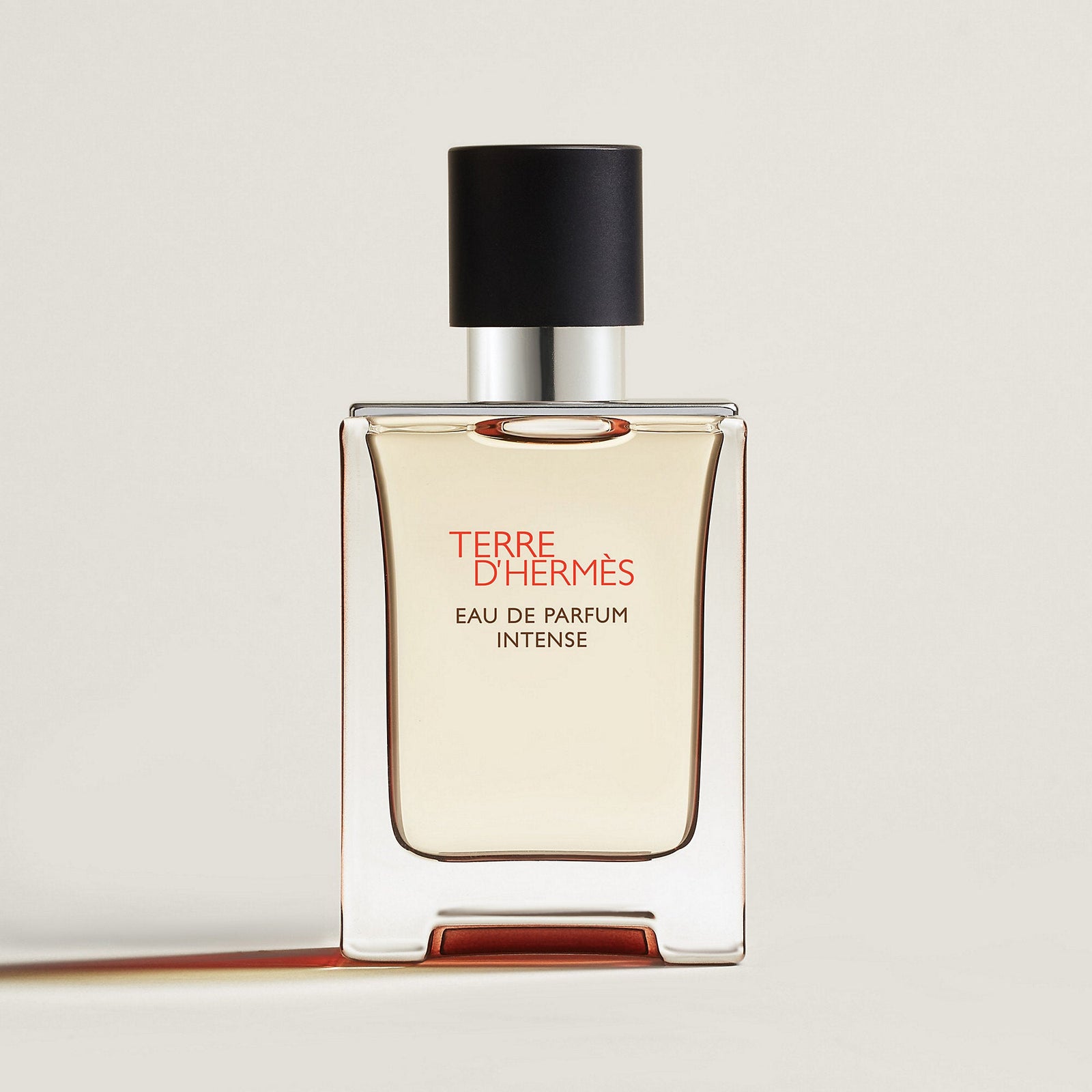 Hermes Terre D'Herms Eau De Parfum Intense